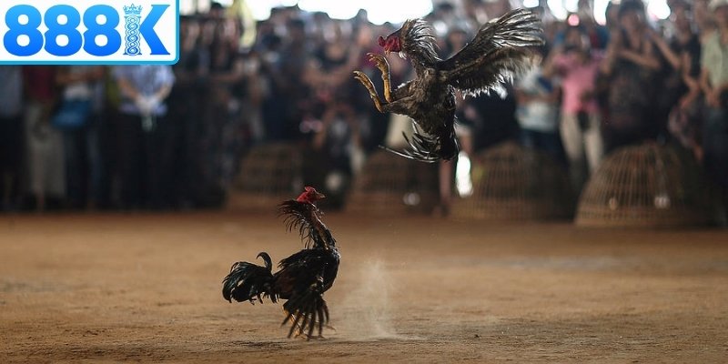 Chú ý phong cách thi đấu