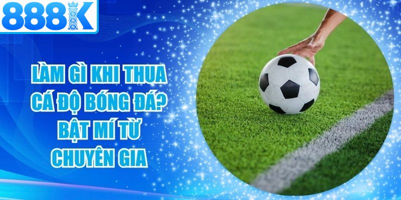 Làm Gì Khi Thua Cá Độ Bóng Đá