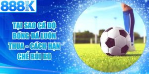 Tại Sao Cá Độ Bóng Đá Luôn Thua